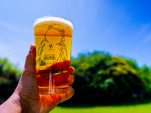 PINT GLASS 480 - VENTLAX